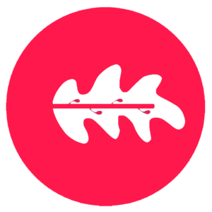 Combo Vadinho MPE [2026] Rumo ao MP