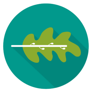 Defensoria Pública | Preparação Extensiva [2026] Rumo a Defensoria